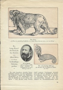 Walter Mehring: Zoologie vor 400 Jahren; erschienen in: Der Uhu, Februar 1929, S. 59